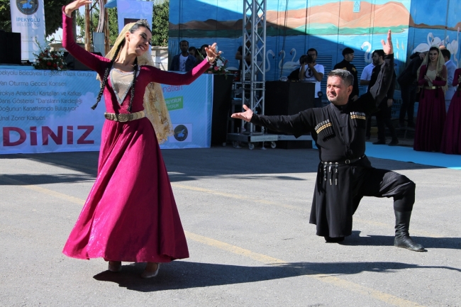 Van'da Doğu'nun Kanatları Van Erçek Gölü 8. Flamingo Festivali